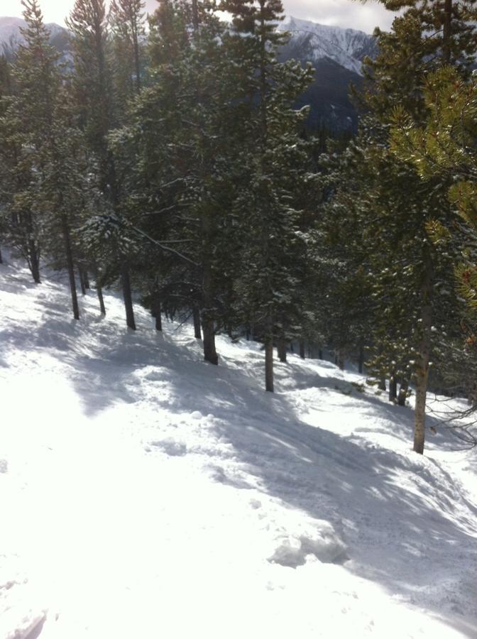 Taynton Lodge At Panorama Mountain Village Resort Exterior foto